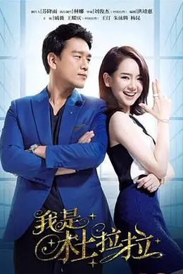 我是杜拉拉封面图