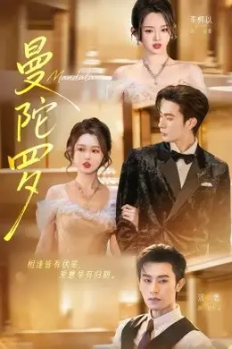 曼陀罗2026封面图