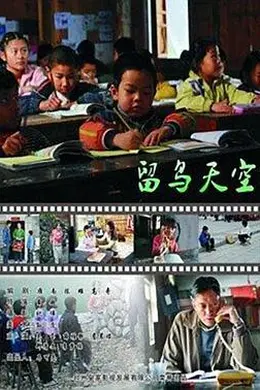 留鸟天空封面图