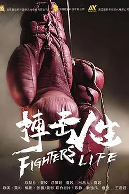 搏击人生封面图