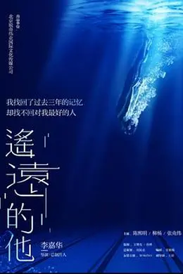 遥远的他封面图