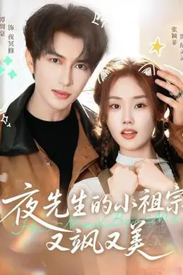 夜先生的小祖宗又飒又美海报图片