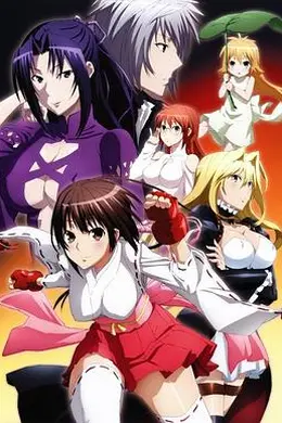 鹡鸰女神第二季封面图