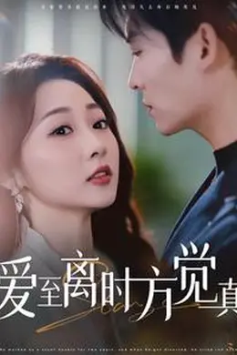 爱至离时方觉真海报图片
