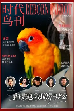 重生鹦鹉：总裁的异鸟老公海报图片