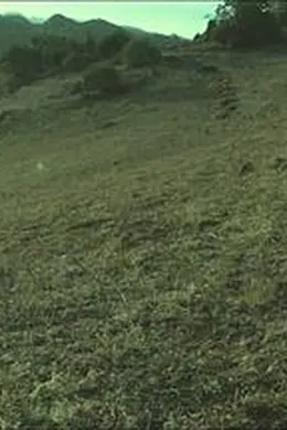 梦回远山封面图