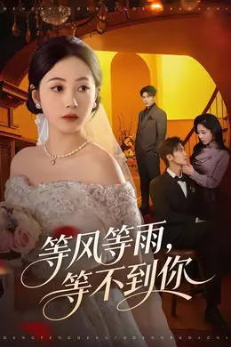等风等雨，等不到你封面图