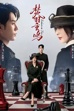 焚羽重鸣封面图