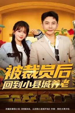 被裁员后回到小县城养老封面图