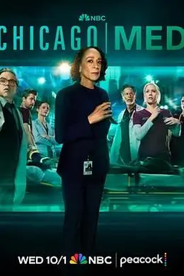 芝加哥急救 第十一季封面图