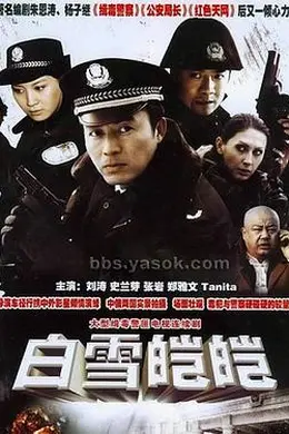 白雪皑皑封面图