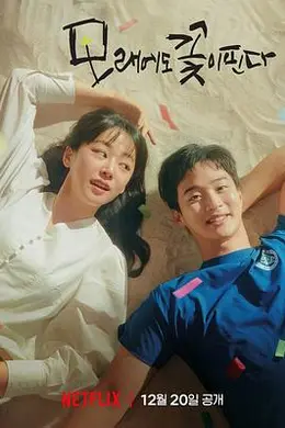 沙之花也有春天封面图