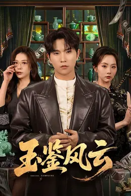 玉鉴风云封面图