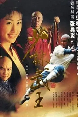 少林武王封面图