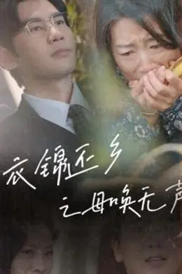 衣锦还乡之母唤无声海报图片