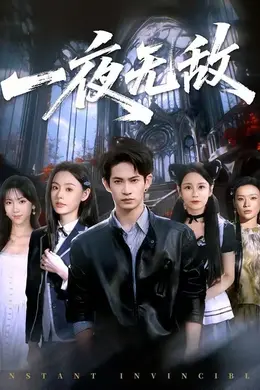 一夜无敌海报图片