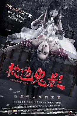 枕边诡影封面图