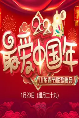 2020年山东卫视春节联欢晚会封面图