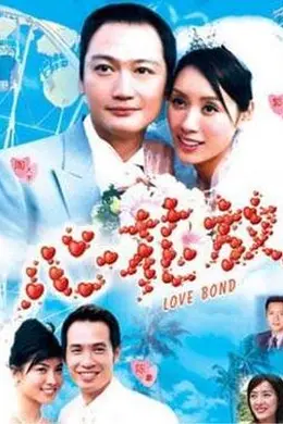 心花放国语封面图