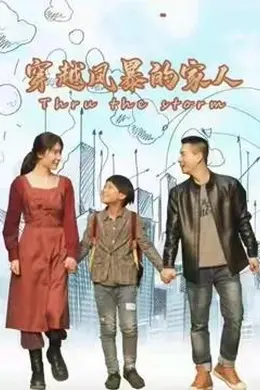 穿越风暴的家人海报图片