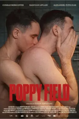 罂粟花田封面图