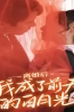 离婚后我成了前夫的白月光海报图片