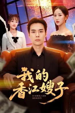 我的香江嫂子封面图