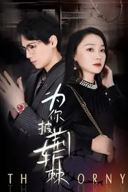 为你披荆斩棘海报图片