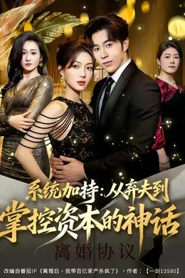 系统加持：从弃夫到掌控资本的神话海报图片