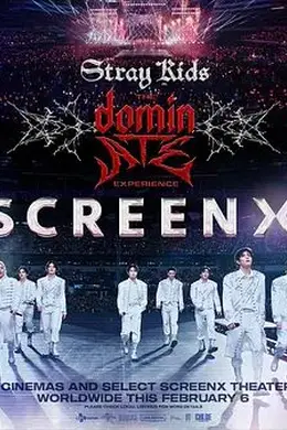 Stray Kids：主宰一切的体验封面图