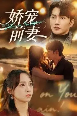 娇宠前妻封面图