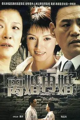 离婚再婚封面图