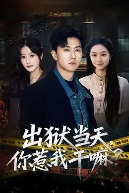 出狱当天，你惹我干嘛？封面图