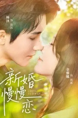 新婚慢慢恋封面图