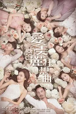 爱美丽狂想曲国语封面图