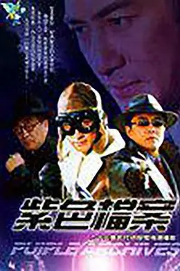 紫色档案封面图