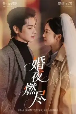 婚夜燃尽封面图