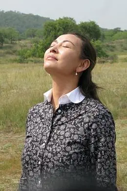 月亮之上封面图