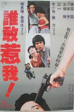 谁敢惹我封面图