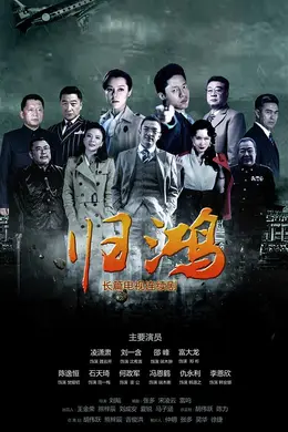 归鸿网络版封面图