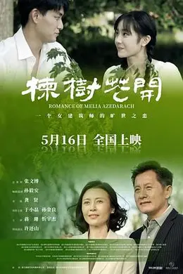 楝树花开封面图