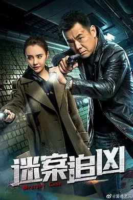 迷案追凶封面图