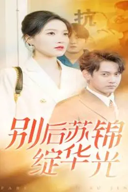 别后苏锦绽华光海报图片