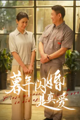 暮年闪婚是真爱海报图片