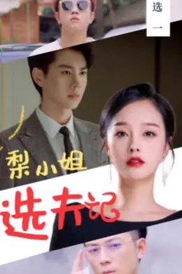 梨小姐选夫记海报图片