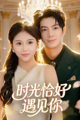 时光恰好遇见你海报图片