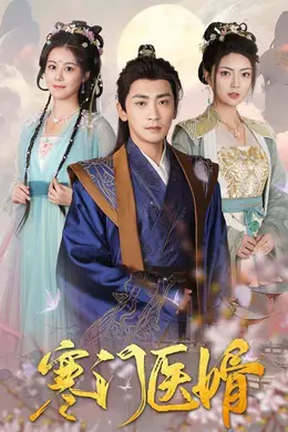 寒门医婿海报图片