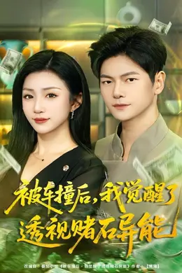 被车撞后，我觉醒了透视赌石异能封面图