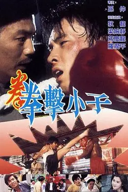 拳击小子封面图