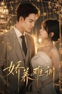 娇养难训封面图
